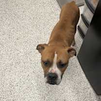 Thumbnail photo of Marley #2