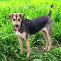 Thumbnail photo of Blair #1