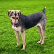 Thumbnail photo of Blair #3