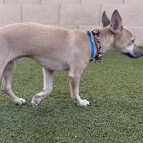 Thumbnail photo of Bender #2