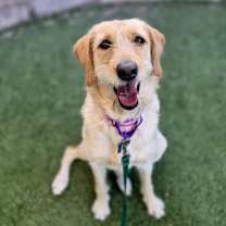 Thumbnail photo of Camille #2