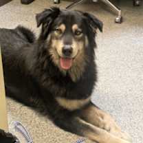 Thumbnail photo of Max #1