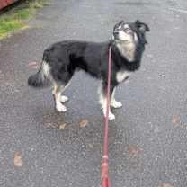 Thumbnail photo of Max #2