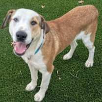 Thumbnail photo of Benny #1