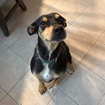 Thumbnail photo of Zara #4