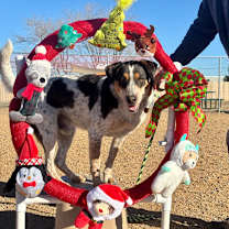 Thumbnail photo of Leo #1