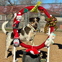 Thumbnail photo of Leo #3