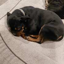 Thumbnail photo of Greta  #2