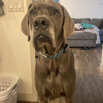 Thumbnail photo of Franklin #1