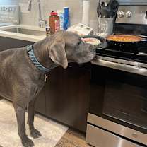 Thumbnail photo of Franklin #2