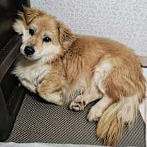 Thumbnail photo of Odaeng #3