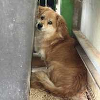 Thumbnail photo of Odaeng #4