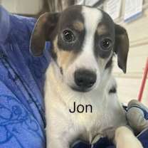 Thumbnail photo of 7 Jon  aka JJ #1