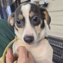 Thumbnail photo of 7 Jon  aka JJ #2