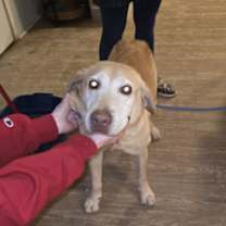 Thumbnail photo of Sandy #2