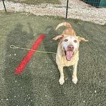 Thumbnail photo of Sandy #3