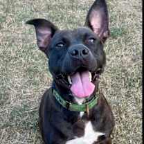 Thumbnail photo of TINA #1