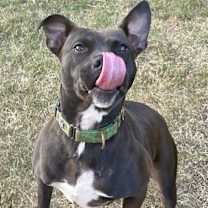 Thumbnail photo of TINA #3