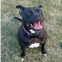 Thumbnail photo of Tiffani #1