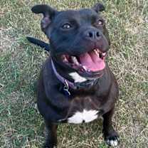 Thumbnail photo of Tiffani #2