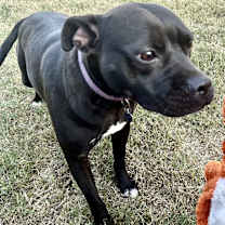 Thumbnail photo of Tiffani #3