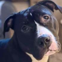 Thumbnail photo of Froggy #1