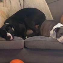 Thumbnail photo of Froggy #2