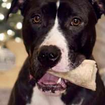 Thumbnail photo of Froggy #3