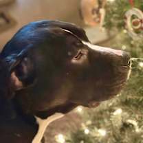 Thumbnail photo of Froggy #4