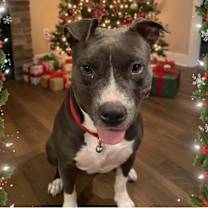 Thumbnail photo of BUSTER #1