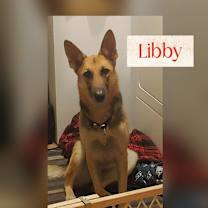 Thumbnail photo of Libby #1