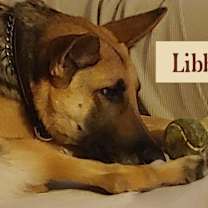 Thumbnail photo of Libby #4