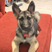 Thumbnail photo of Meg #1