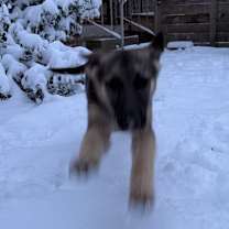 Thumbnail photo of Meg #3