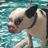 Thumbnail photo of Champ Evans-4648 New Tazewell, TN #3