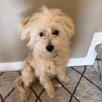 Thumbnail photo of Lenny #2