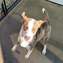 Thumbnail photo of Bean #1