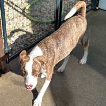 Thumbnail photo of Bean #2