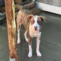 Thumbnail photo of Bean #3