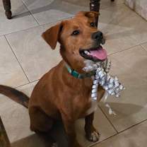 Thumbnail photo of Peanut #1