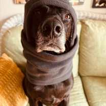 Thumbnail photo of Reik (Scout) #1