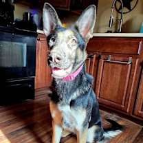 Thumbnail photo of Ruby Mae #1