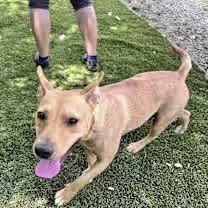 Thumbnail photo of Daisy #1