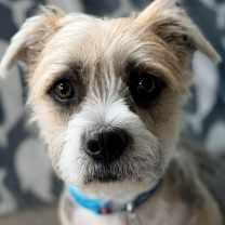 Thumbnail photo of Sissy #1