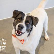 Thumbnail photo of Coco Crisp #1