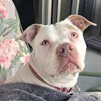 Thumbnail photo of River #3