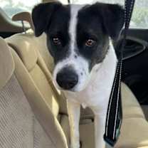 Thumbnail photo of Coco Crisp #3