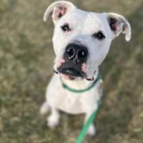 Thumbnail photo of Maru #3