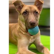 Thumbnail photo of Chelsea #1