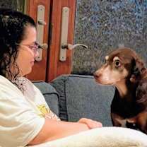 Thumbnail photo of Bird Dog #3